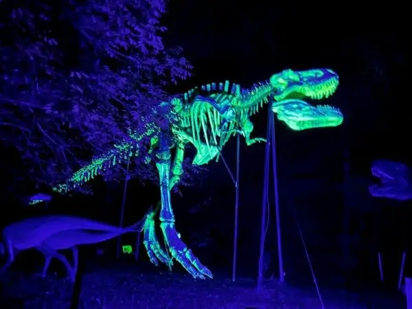 Image of the glowing turquoise-blue, life-sized and vibrant Tyrannosaurus Rex skeleton in the Styrassic Night lights park