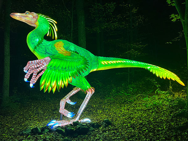 Image of green luminous bird