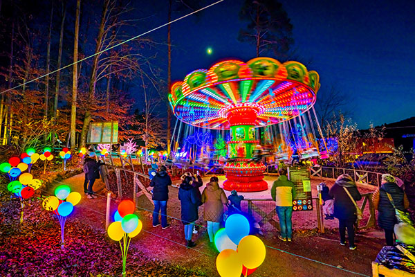 Image of glowing carousel