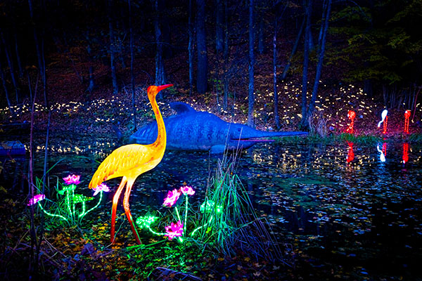 Image of glowing bird on lake