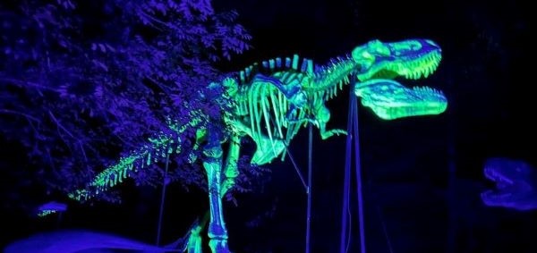 Bild vom neon- Trex Skelett im Lichterpark Styrassic Night
